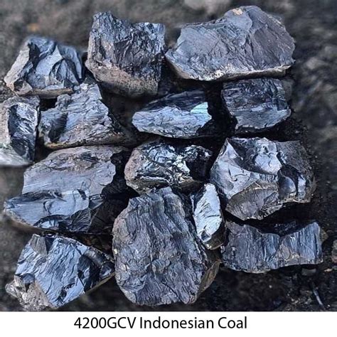 Mm Gcv Indonesian Coal Lump At Rs Tonne In Ankleshwar Id