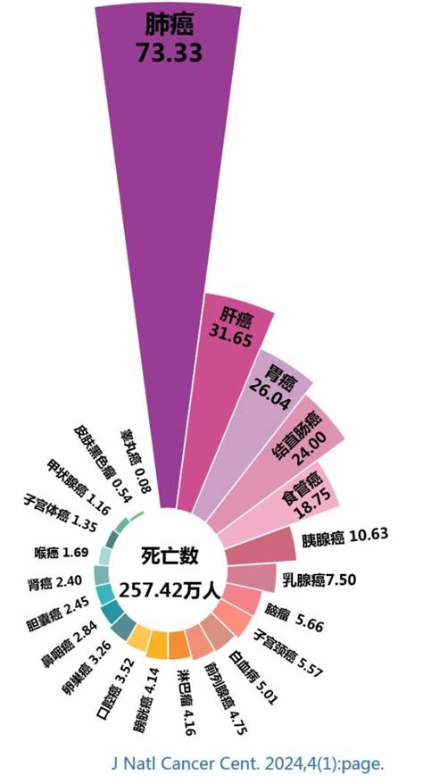 国家癌症中心刚刚发布：2024年全国癌症报告 澎湃号·政务 澎湃新闻 The Paper