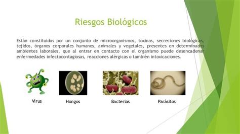 Tipos De Riesgos Biologicos