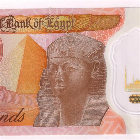 Egypt Pounds Unc Polymer Currency Note Kb Coins Currencies