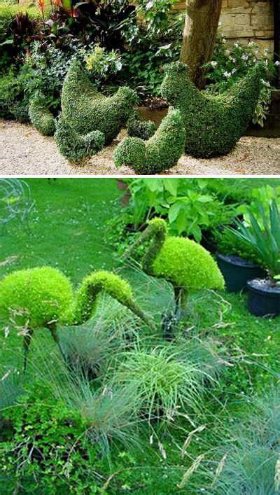 Pretty Up Your Backyard Designs With Topiary Art Adding Gorgeous Garden