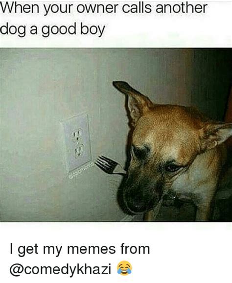 Good boy Memes