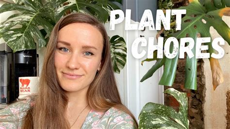 Plant Chores Repotting And Propagating Youtube