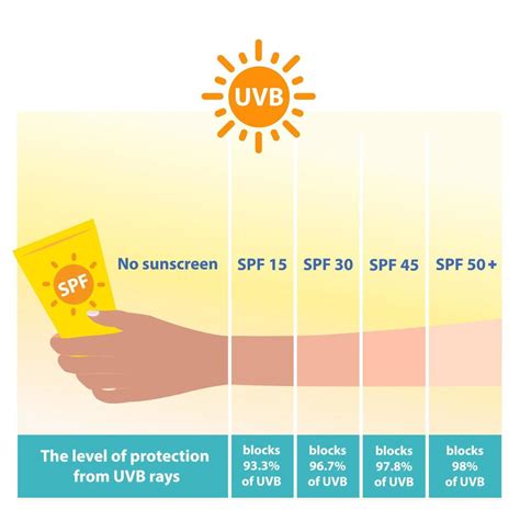 El Diferente Niveles De Spf Protector Solar Proteger Uvb Rayos Vector