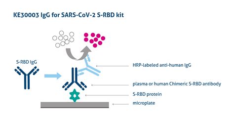 A Brief Overview Of Immunologic Testing For Covid Off