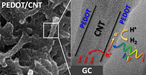 Pedot The Journal Of Physical Chemistry C