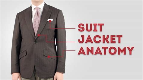 The Anatomy Of The Suit Jacket Guide Suits Expert Atelier Yuwaciaojp