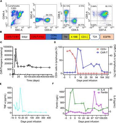 Frontiers Case Report Differential Diagnosis Of Highly Amplified