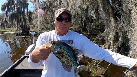 Louisiana Pre Spawn Crappie Aka Sacalait Moving In For The Spawn Youtube