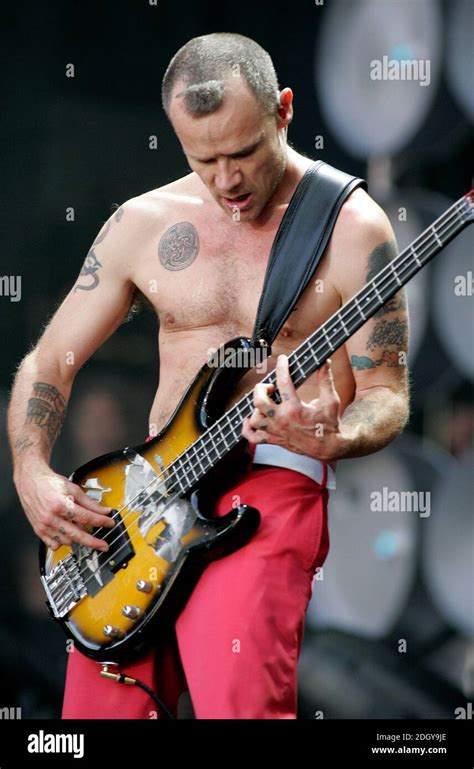 Red Hot Chili Peppers Live At The Live Earth London Concert Wembley Stadium London Stock Photo