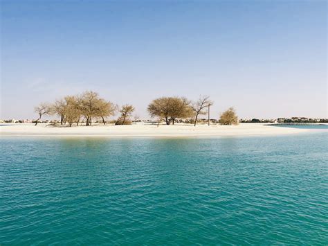 Why You Don't Have to Fear the Due On Sale Clause - Semi-Retired MD