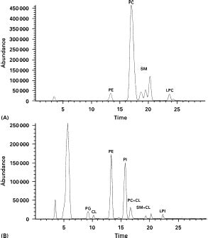 Normal Phase HPLC Chromatogaphy advance