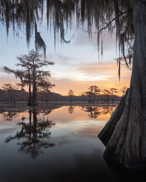 Cypress Lake Cypress Swamp Cypress Trees Fantasy Landscape