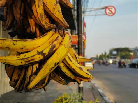 Jenis Pisang Yang Populer Di Indonesia Dan Cara Tepat Mengolahnya