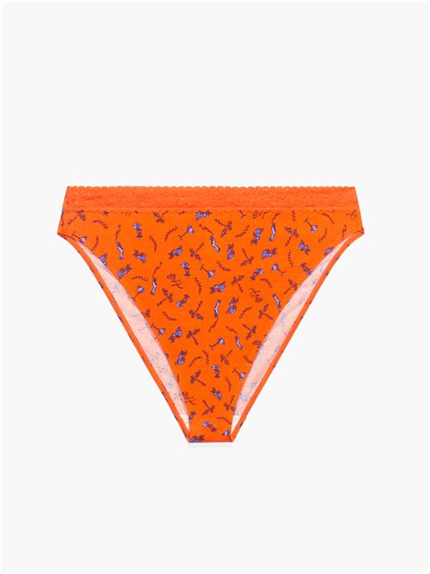 Cotton Essentials High Leg Bikini Panty In Multi Orange Red