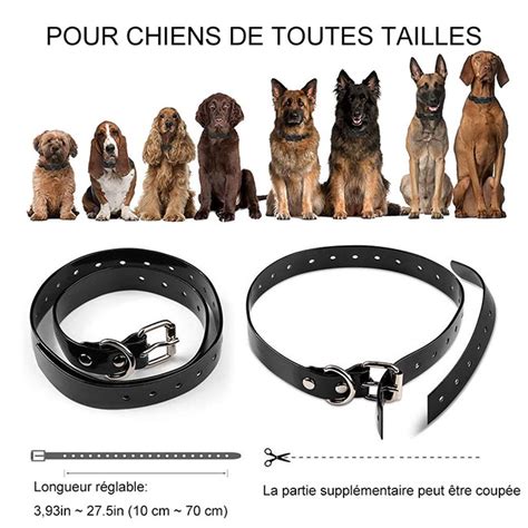 collier de dressage pour chien avec talkie walkie Distance de contrôle