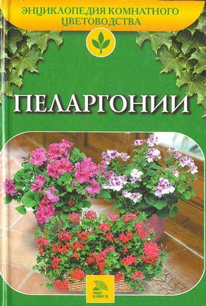 Пеларгонии - купить с доставкой по выгодным ценам в интернет-магазине ...