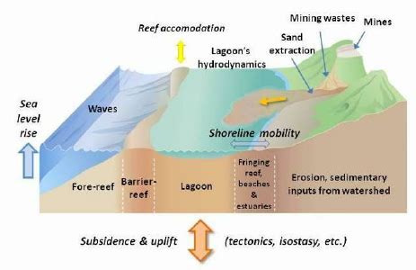 Schematic block diagram of the coastal environment and processes of New ...