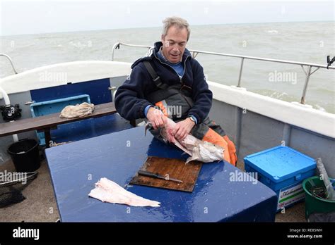 Nigel farage fish hi-res stock photography and images - Alamy