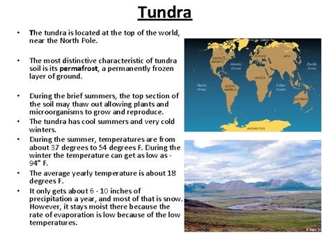 Climate Zones Vegetation Regions Biomes And Ecosystems Biomes