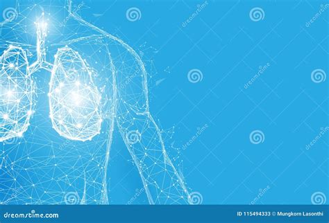 Human Lungs Anatomy Form Lines and Triangles, Point Connecting Network ...