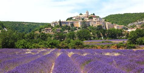 Provence - Along the Lavender Route