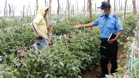 Fortalecen Seguridad En Zonas Rurales Y Productivas De Nicaragua YouTube