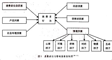 消费者行为路径 消者行为模式 消者行为 大山谷图库