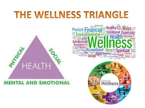 The Wellness Triangle