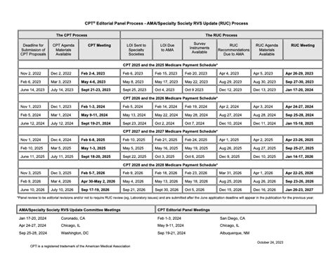 E M Codes 2024 Cheat Sheet Brigid Jenilee