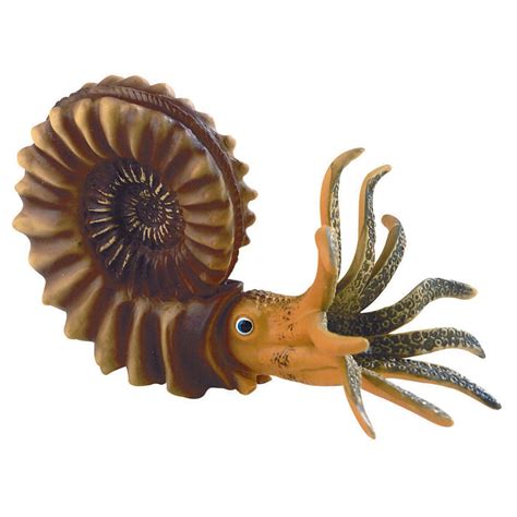 Ammonite Model 1018515 W12400 Fossils 3b Scientific