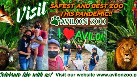 Avilon Zoo Complete Tour Best And Safest Zoo This New Normal Youtube