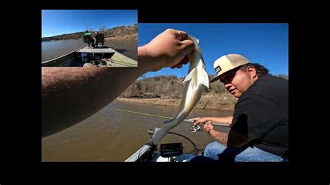 Catching Crappie Stacked On Top Of Each Other In A Small Creek Youtube