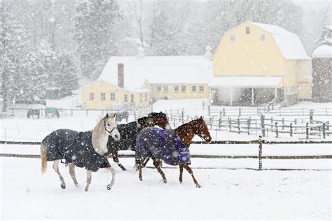 George School (2024-25 Profile) - Newtown, PA