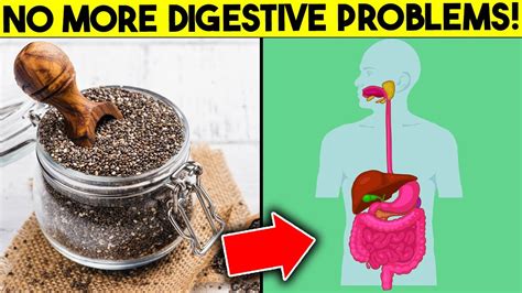 Chia Seeds Unlocking The Secrets Of This Ancient Superfood Youtube