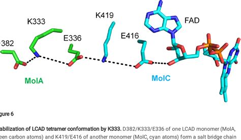 Figure 3 From Structural Basis For Expanded Substrate Specificities Of