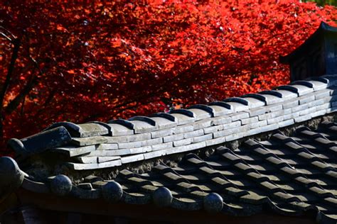 大本山永平寺御直末五鈷山光明寺 By うさぎの名前はミーコ （id：6235595） 写真共有サイトphotohito