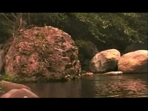 Man And Two Woman Sex XNXX