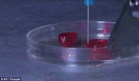 The 3D Printed HEART Scientists Could Soon Build Replacement Organs