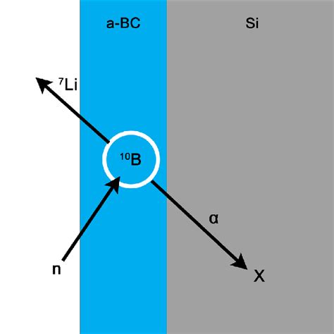 (Color online) Depiction of neutron capture by a 10 B isotope resulting ...