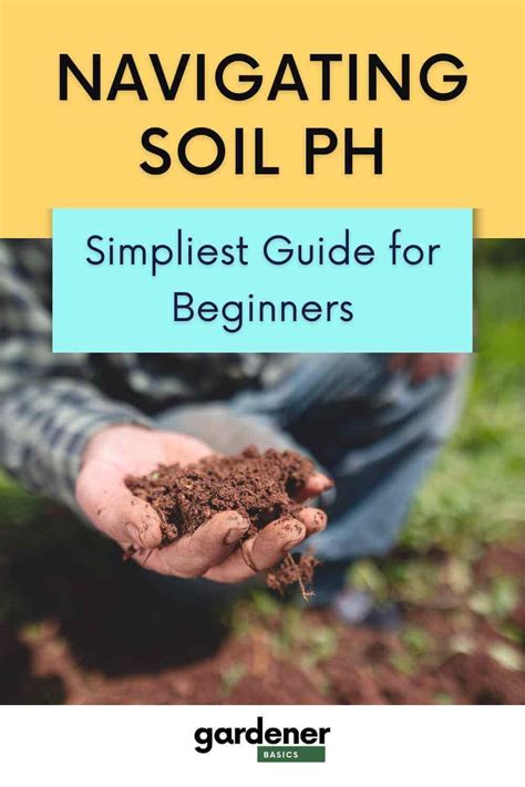 Understanding Soil pH: A Beginner's Guide — Gardening, Herbs, Plants ...