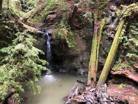 Best 10 Hikes and Trails in Big Basin Redwoods State Park | AllTrails