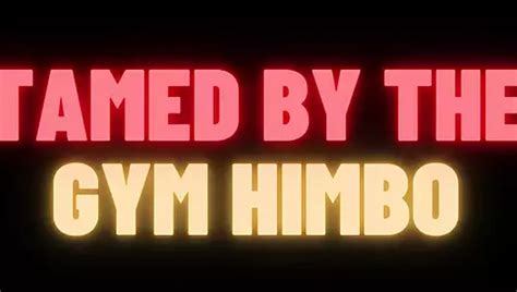 Himbo Porn Videos Gay Xxx Xhamster