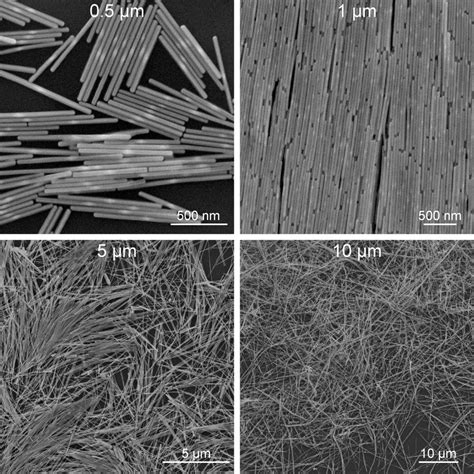 Long Ag Nanorods – NanoSeedz