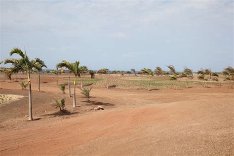 Visão Marrocos Embaixada em Cabo Verde e Royal Air Marroc quer