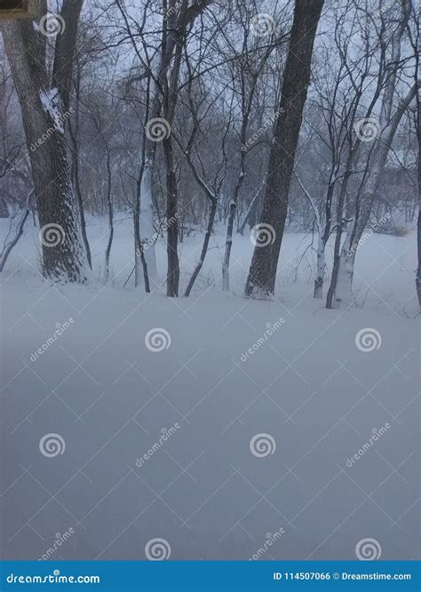 April Blizzard Minnesota stock photo. Image of breaking - 114507066