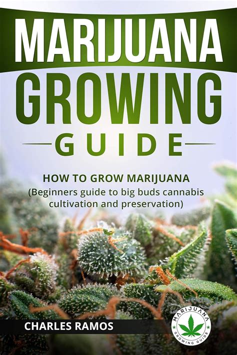 Marijuana Growing Guide: How To Grow Marijuana: Beginners Guide To Big ...