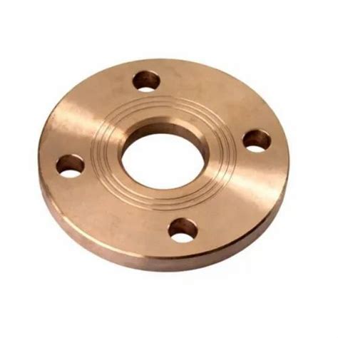 Titanium Grade 2 Flanges At Rs 250 Pcs Nickel Alloy Flanges In Mumbai Id 24261686491