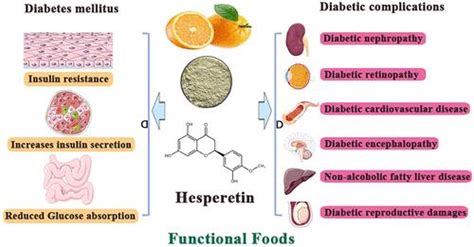 橙皮素，一种有希望的糖尿病及相关并发症治疗选择：文献综述journal Of Agricultural And Food Chemistry