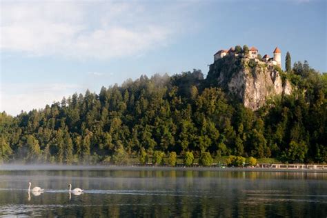 Premium Photo | Bled castle